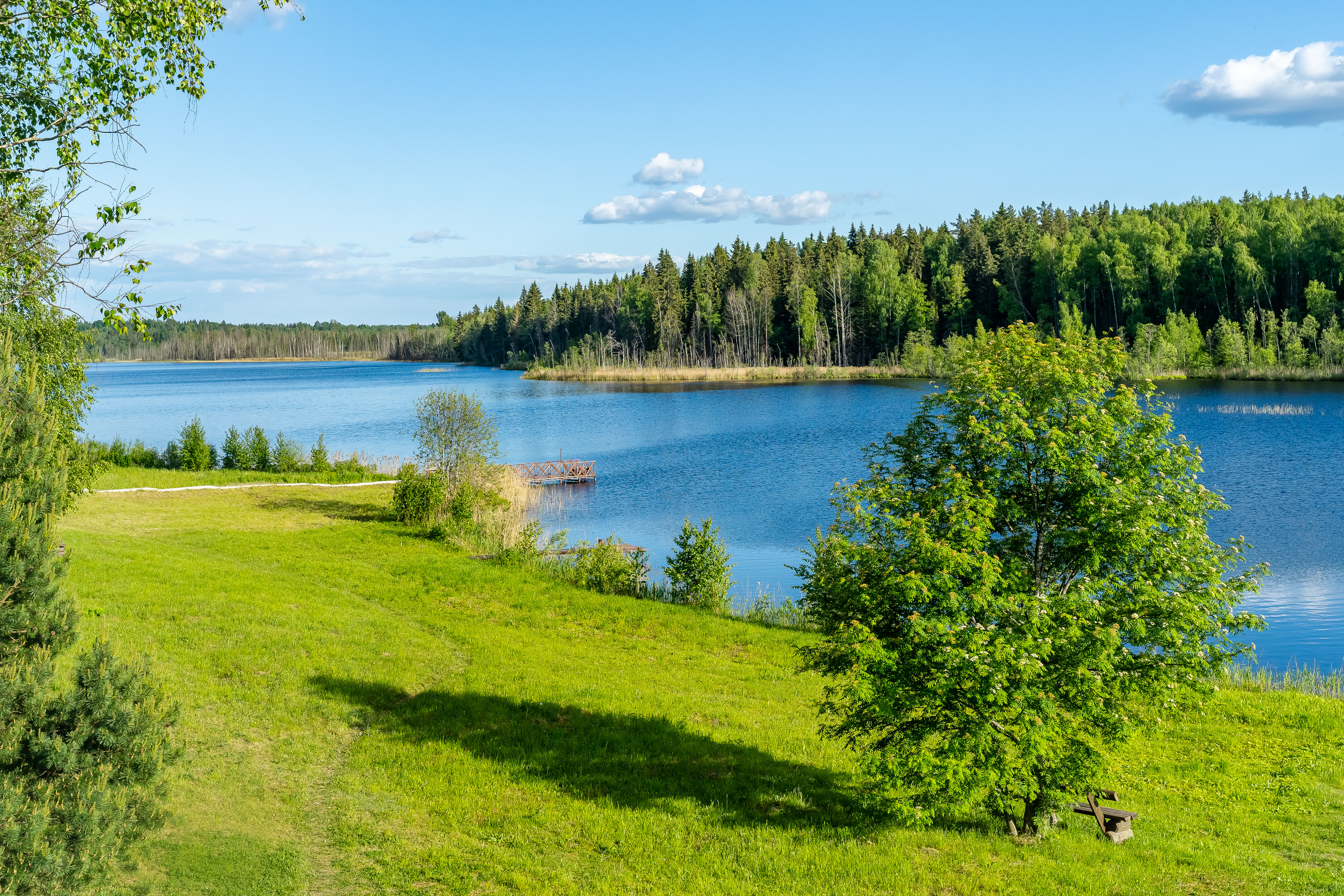 Фото Проховское подворье