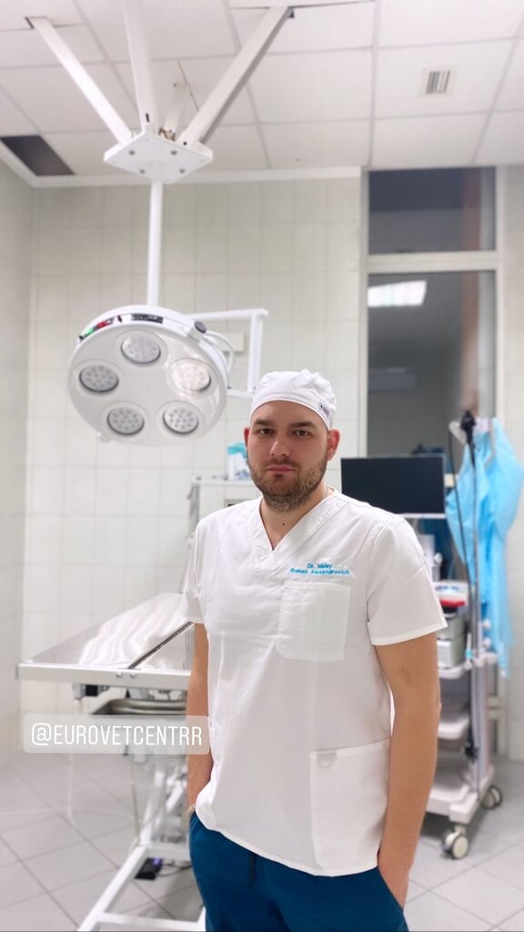 Veterinary clinic Veterinary Clinic Eurovetcenter, Moscow, photo