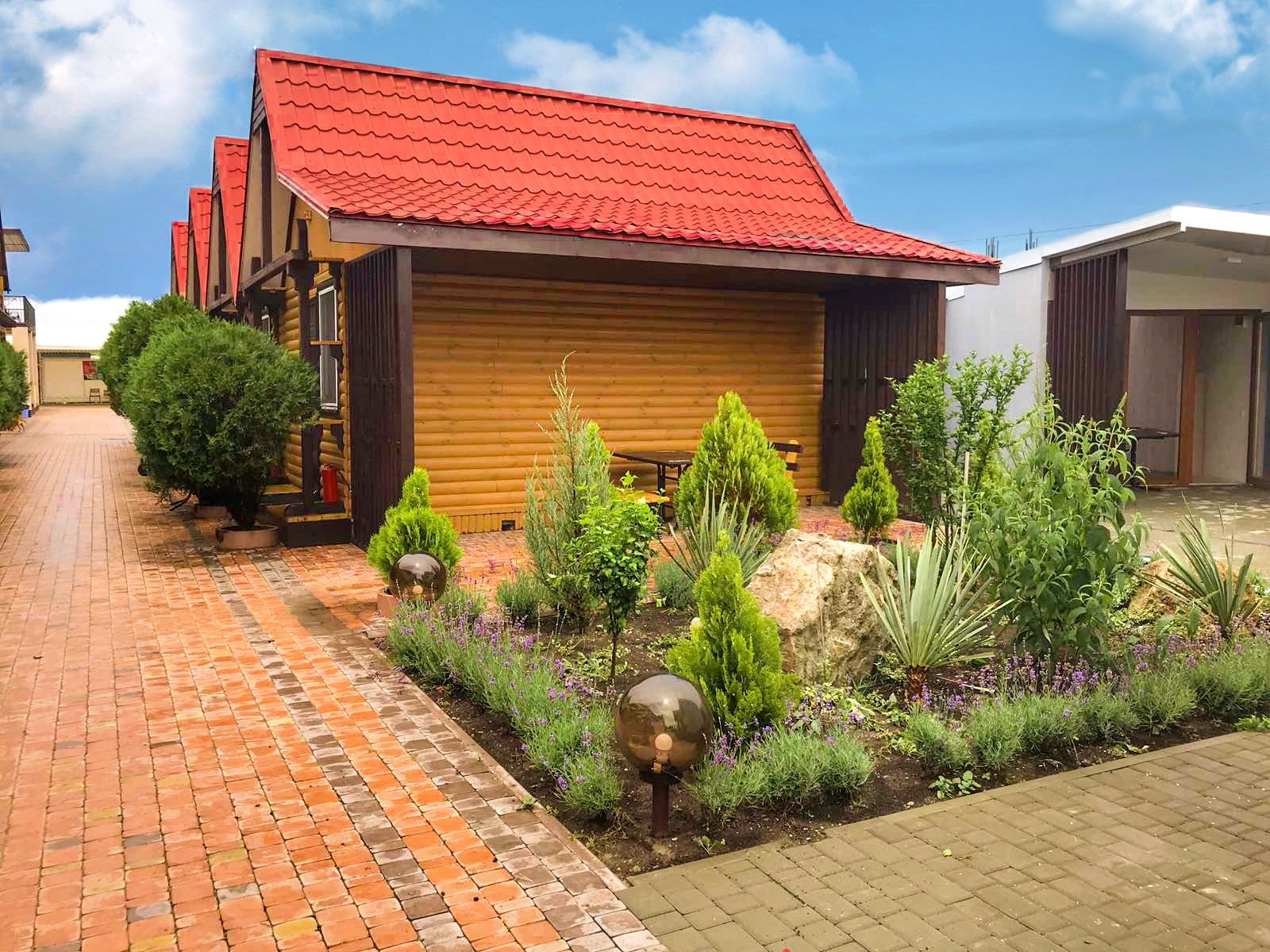 Фото Калипсо