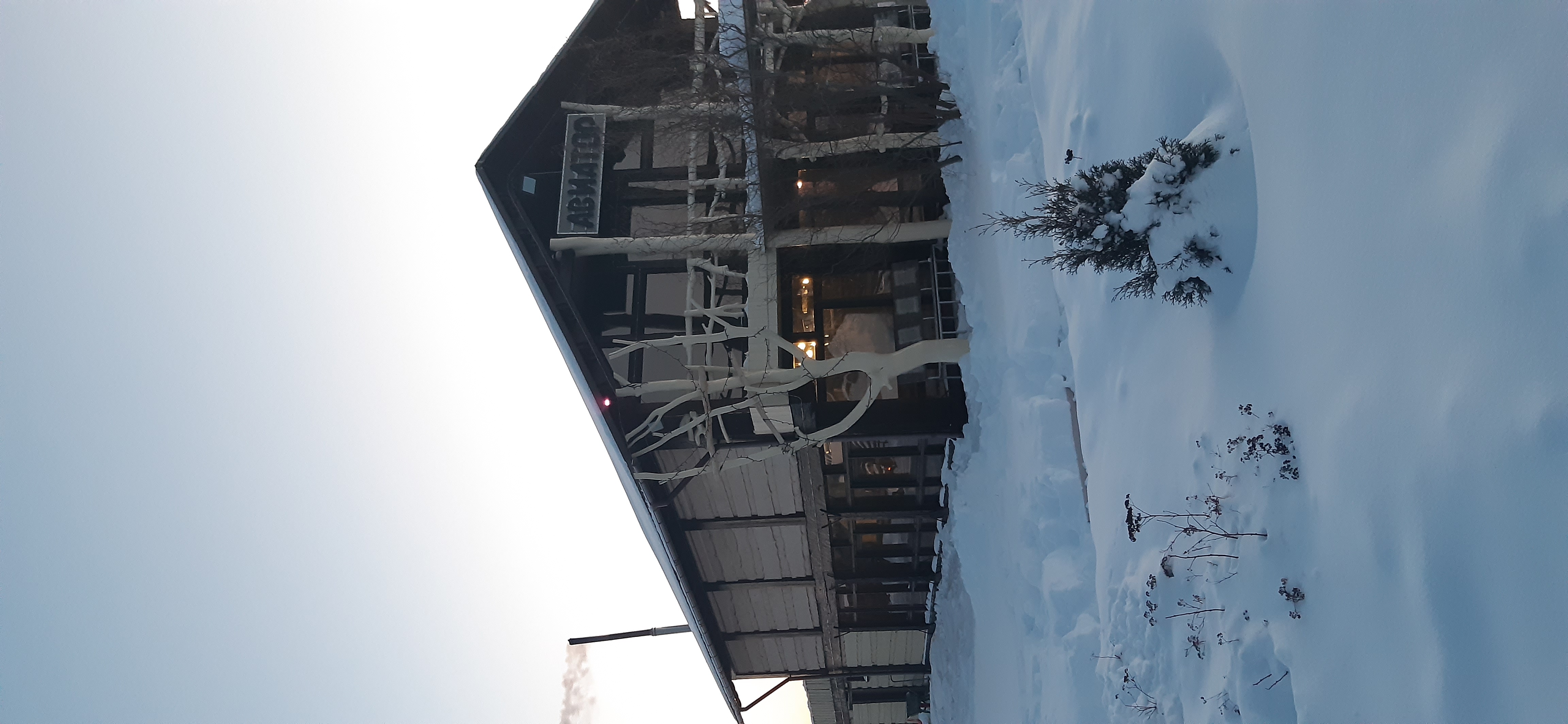 Фото Авиатор