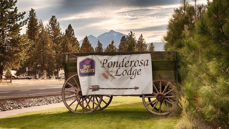 Фото Best Western Ponderosa Lodge