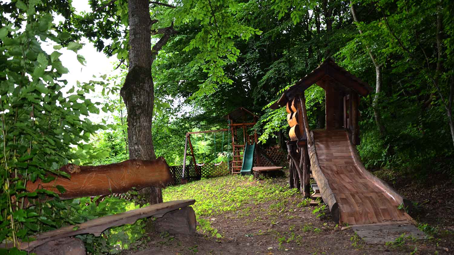 Фото Дом Совы