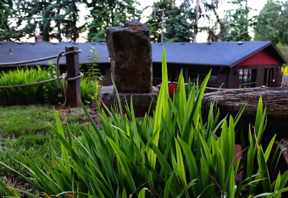 Фото Happy Rock Inn