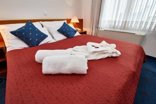 Гостиница Hotel Europa в Карловаце