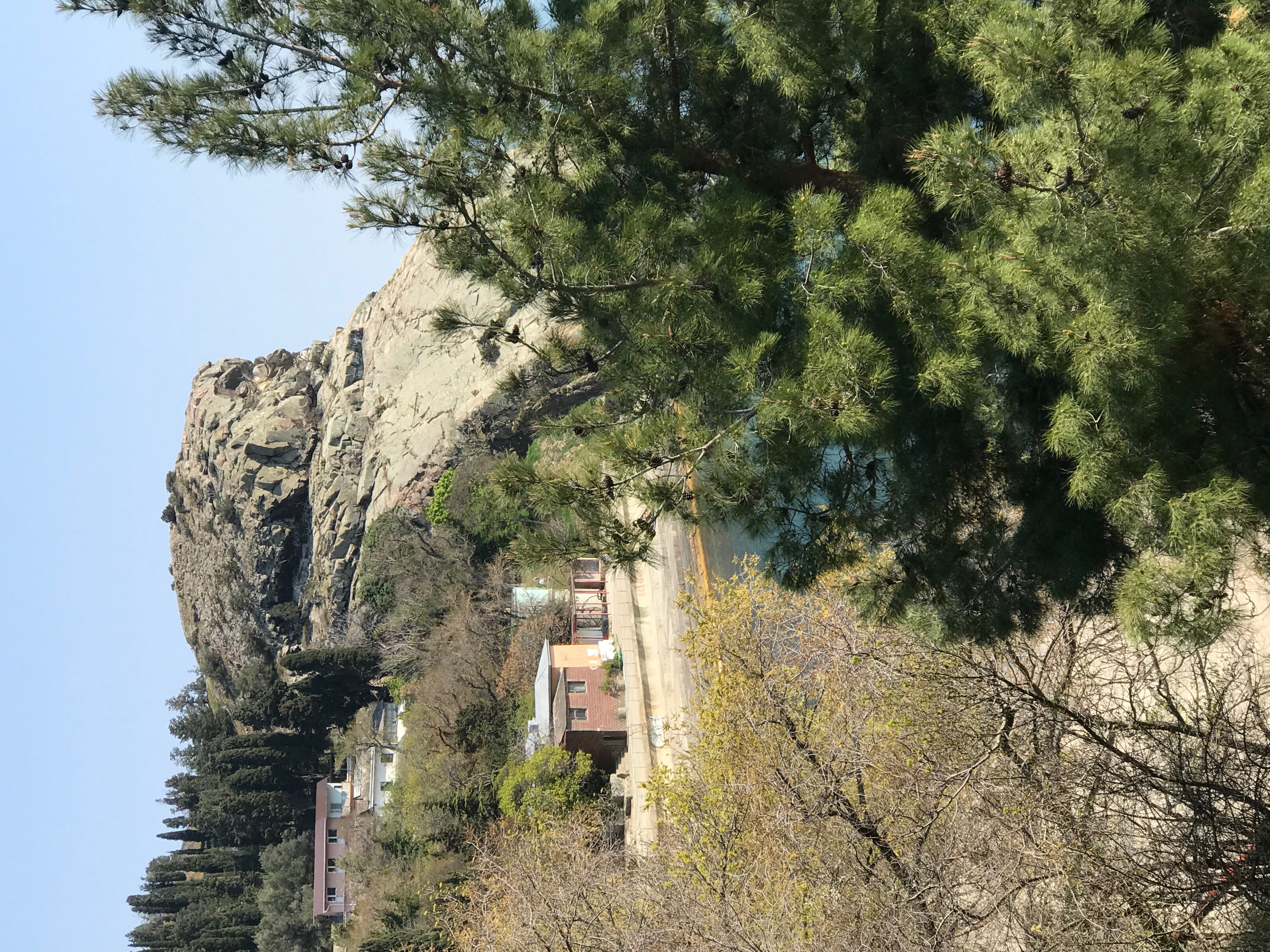 Фото Таврида