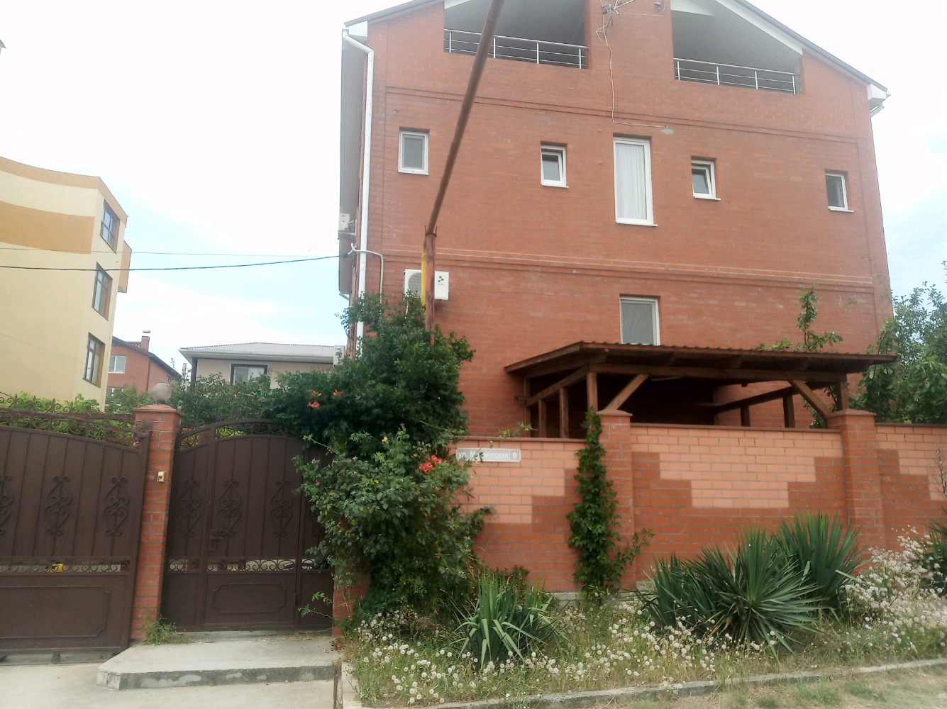 Фото Приветливый