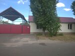 Ptp-4k (Voronezh, Ostrogozhskaya Street, 166Е) ، عمليات وصيانة النقل العام