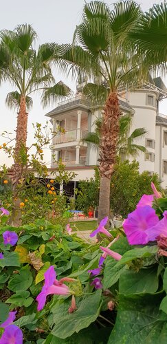 Гостиница Green Garden Otel в Кемере