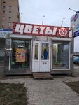 Цветы (Kalinina Street, 4), flower shop