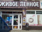 Живое пенное (ulitsa Chekhova, 28), beer shop