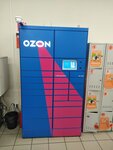 Ozon (Tsentralny Microdistrict, ulitsa Gorkogo, 33с1) ، الطرود الآلي