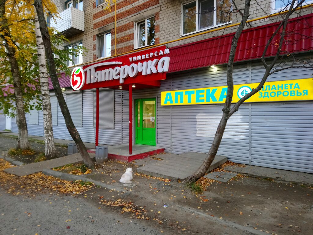 Газэконом ул семена ремезова 105в фото Панорама: Пятёрочка, супермаркет, ул. Семёна Ремезова, 46, Тобольск - Яндекс Кар