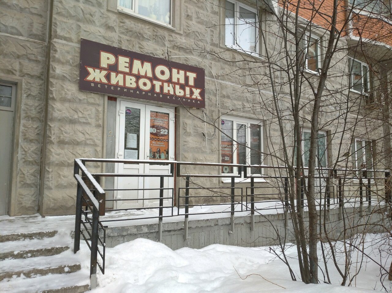 Ремонт животных ул тренева 20 фото