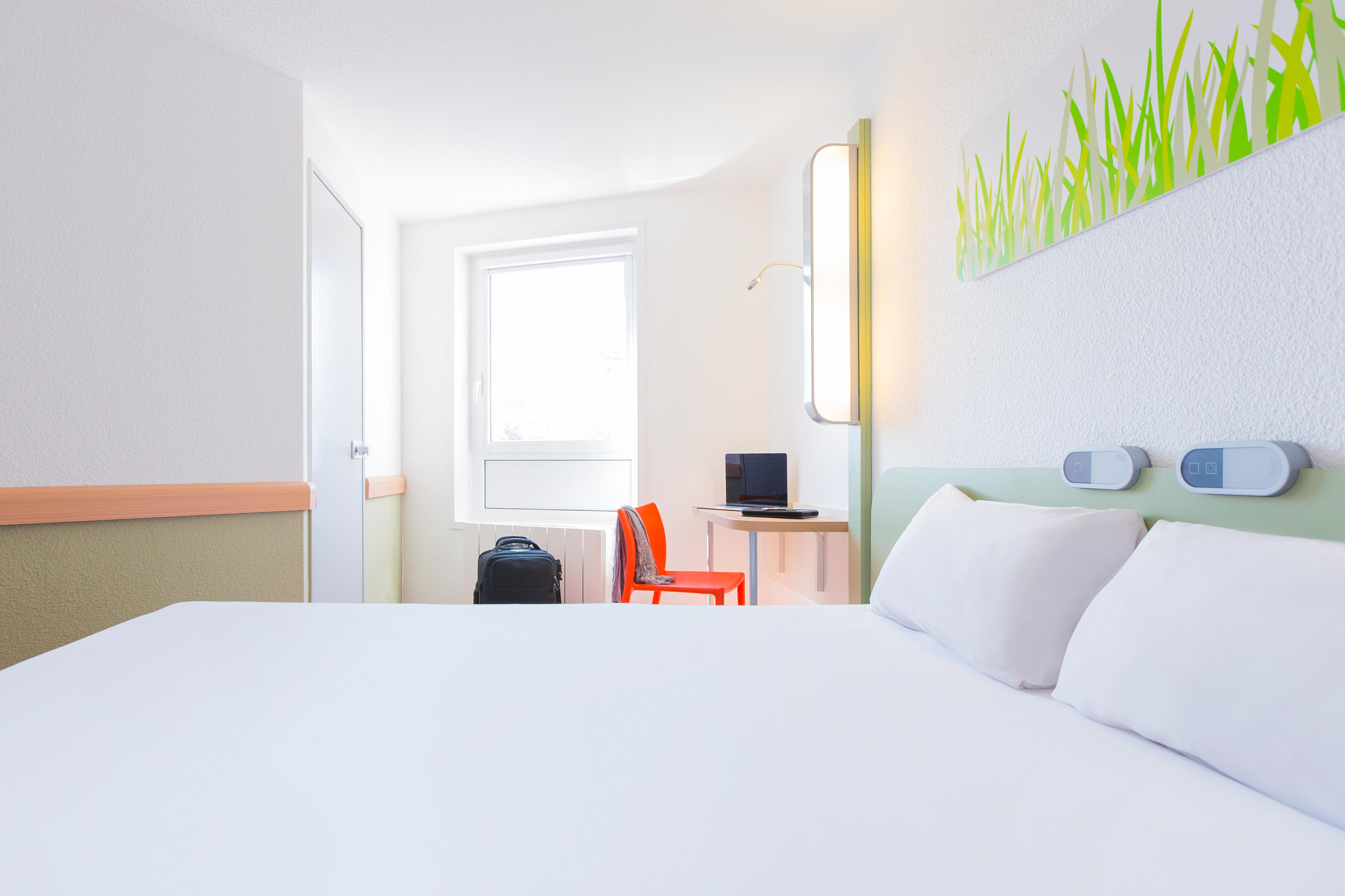 Фото 169056472620