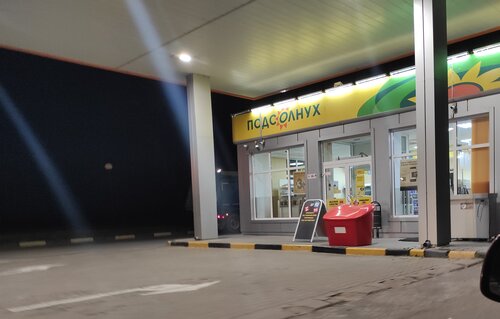 Gas station Rosneft', Lipetsk Oblast, photo