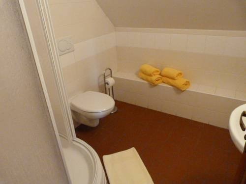 Фото Cesky Statek