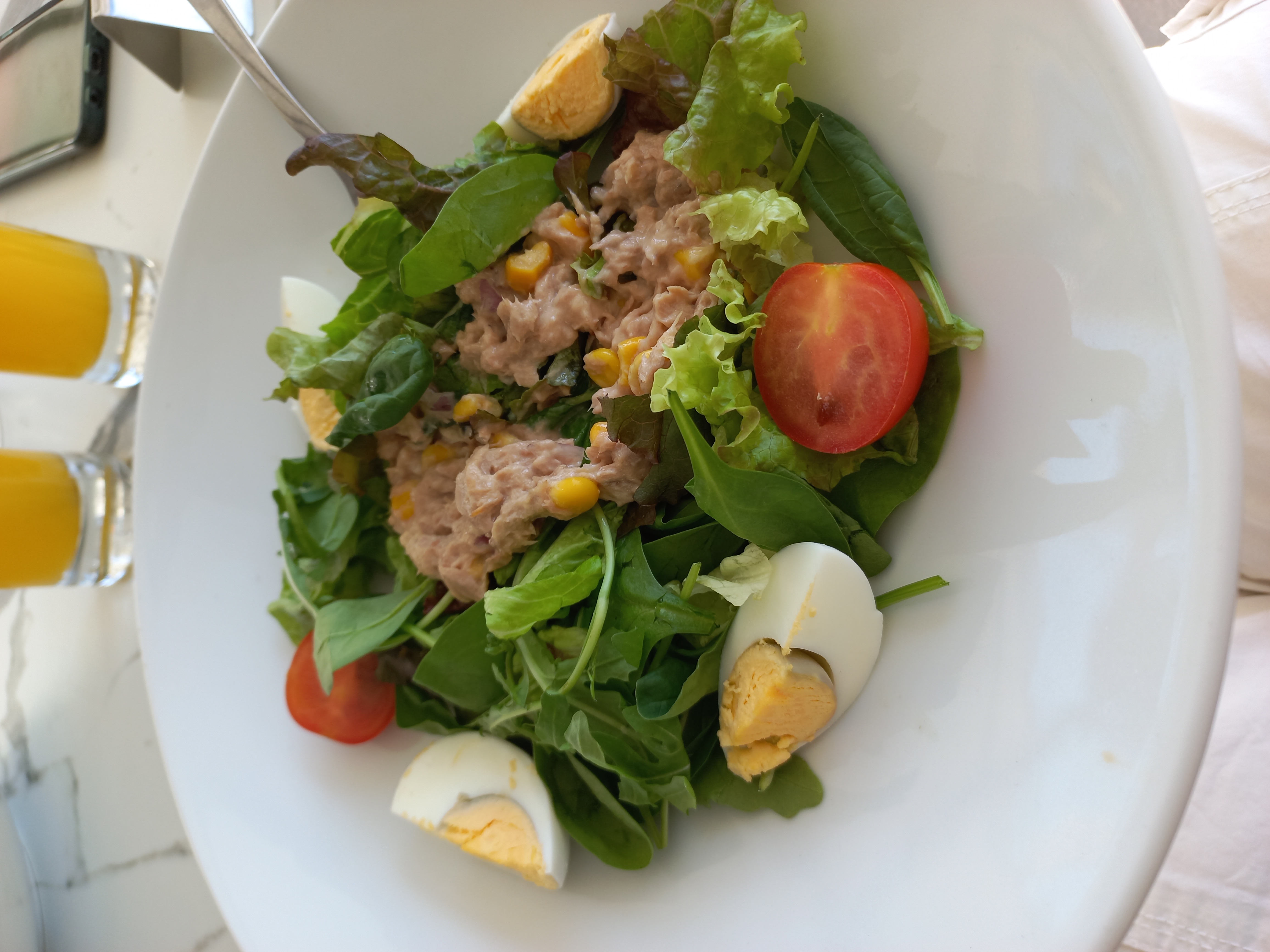 Фото Bohemian Gardens Hotel