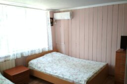 Фото Ласточка