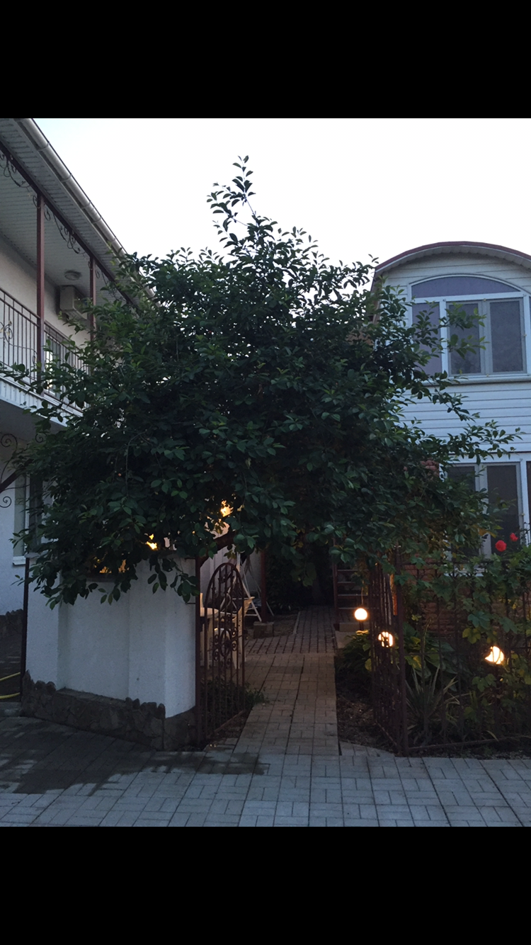 Фото Райская Лагуна