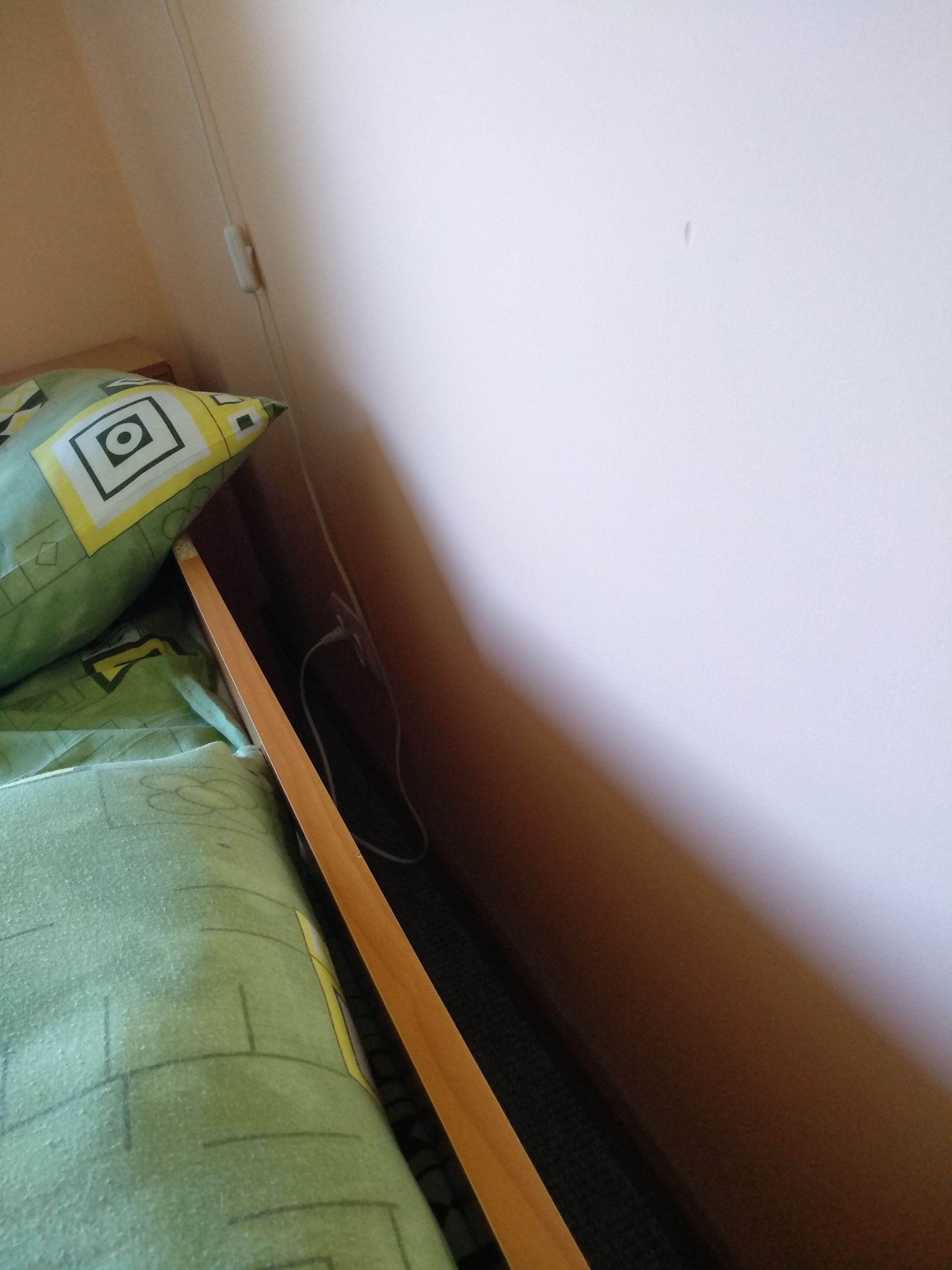 Фото Дельфин