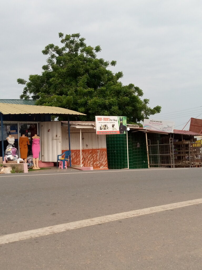 Pet shop Eddy frems pet shop, Earth, photo