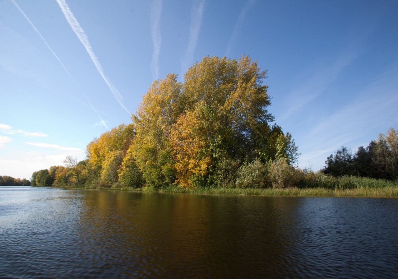 Фото Разнежье