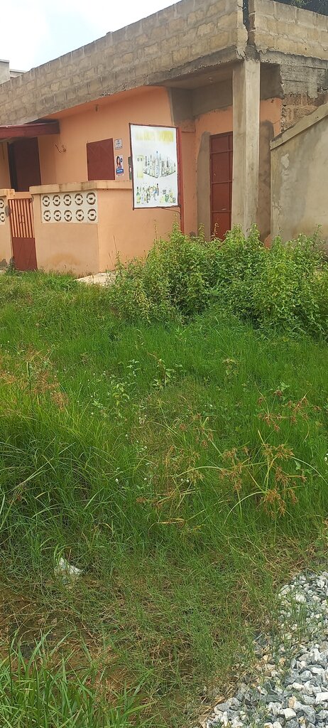 Bar, pub Who Knows Tomorrow, Earth, photo