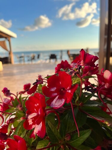 Гостиница Solo в Новомихайловском