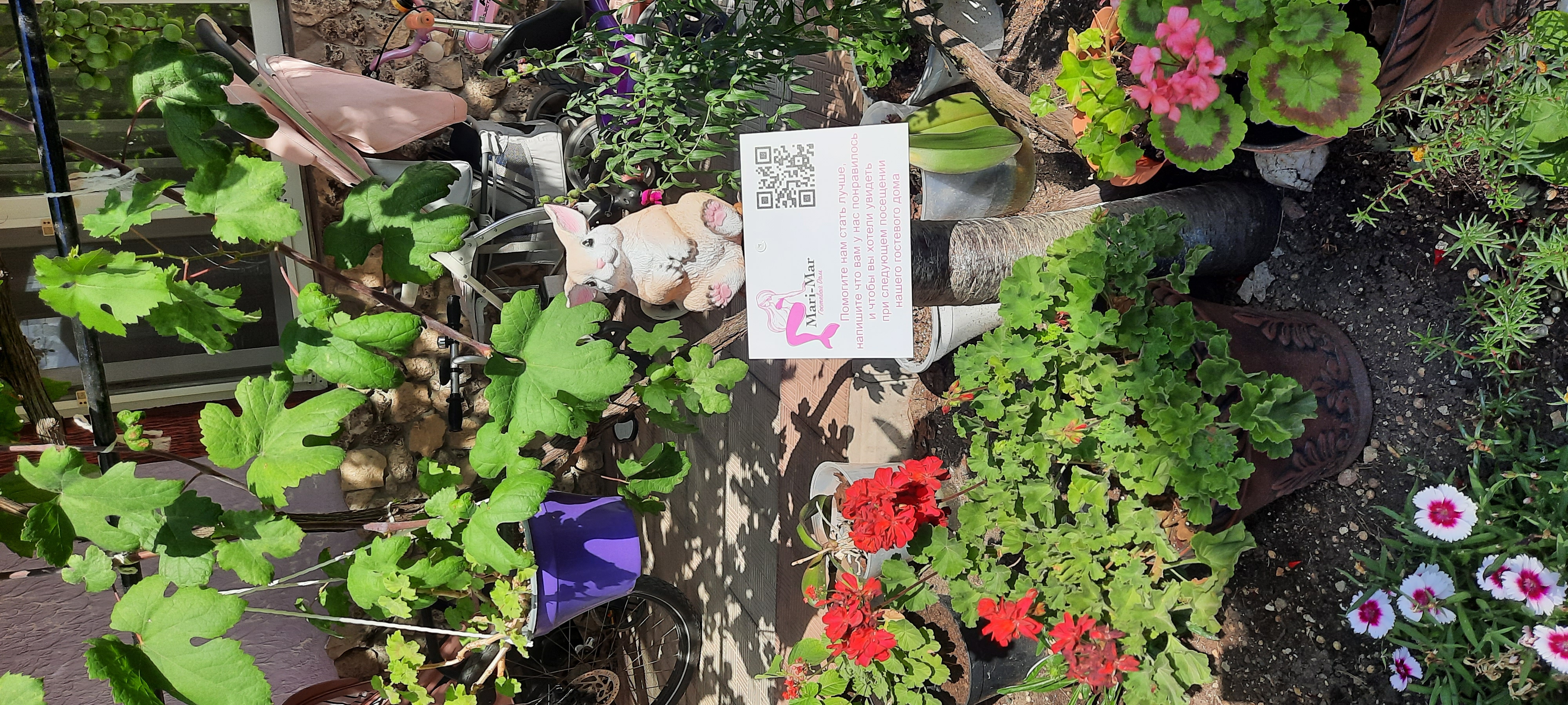 Фото Мари-Мар