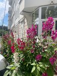 Аделина (rabochiy posyolok Oktyabrskiy, ulitsa 60 let Pobedy, 1) ، علم التجميل