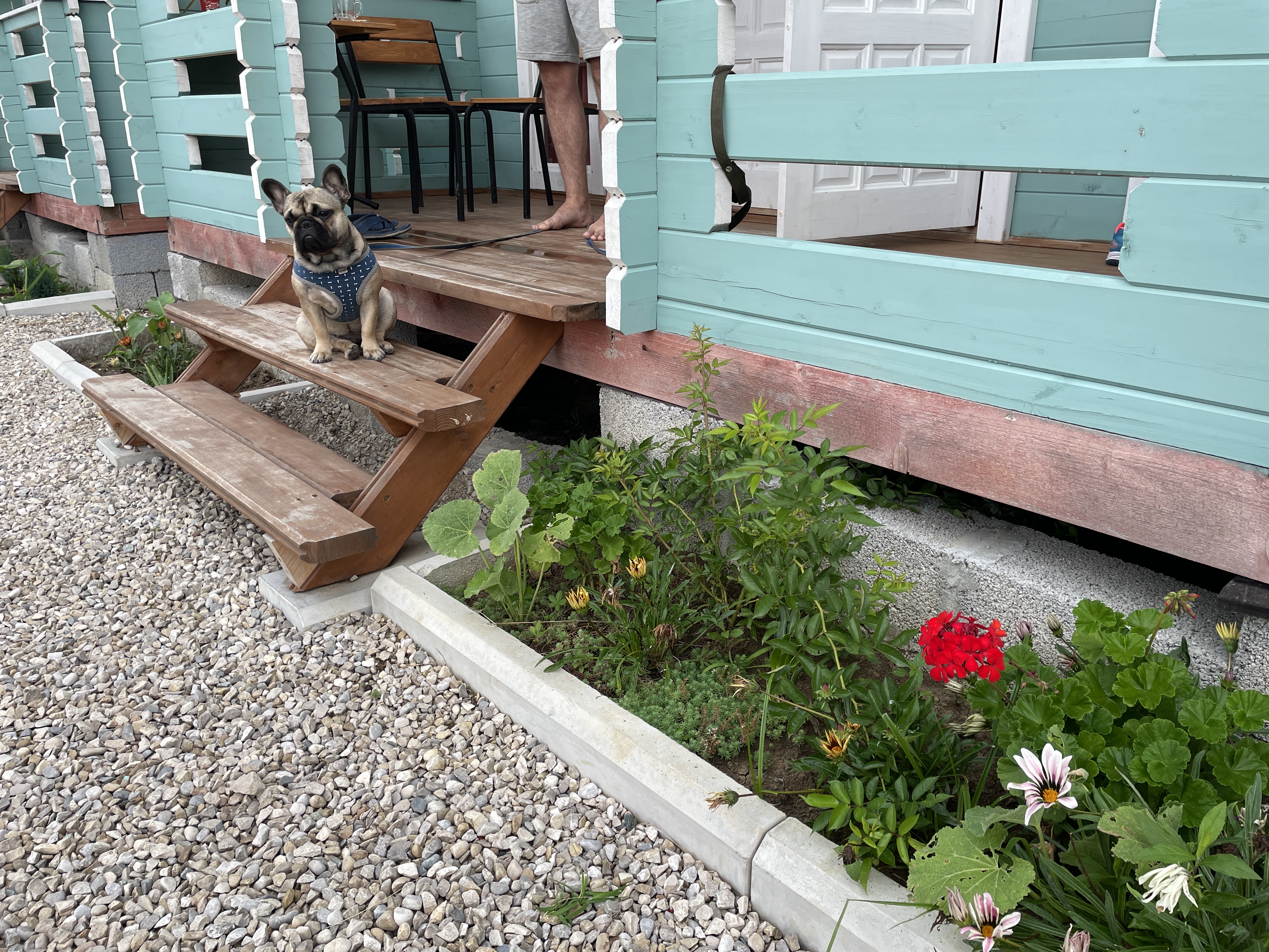 Фото Лазурный