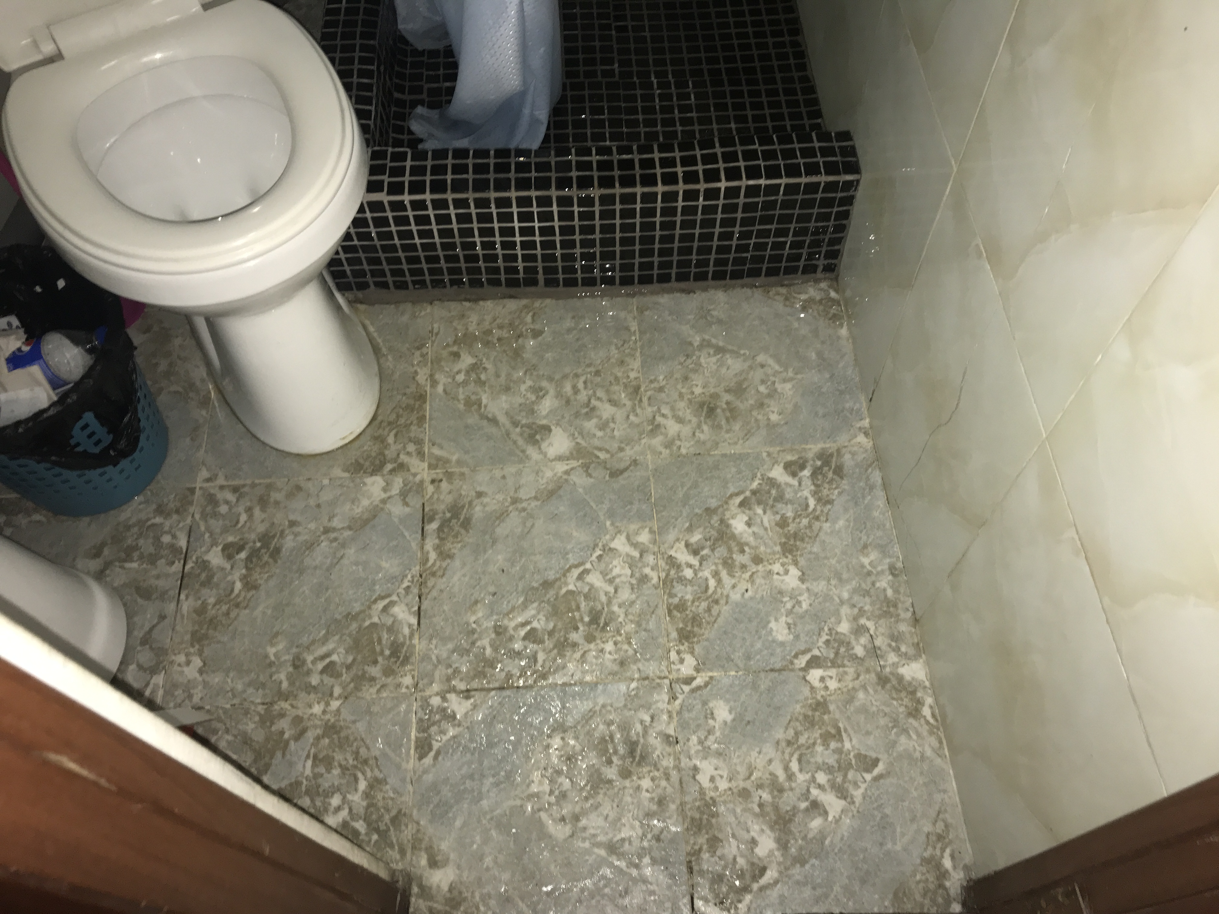 Фото Золотая Чаша