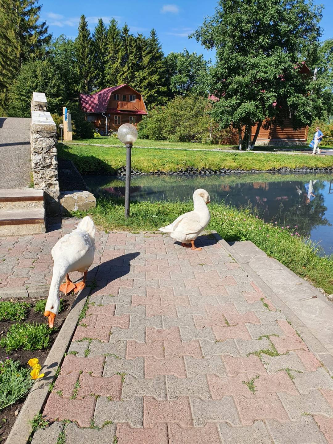 Фото Курорт Ключи