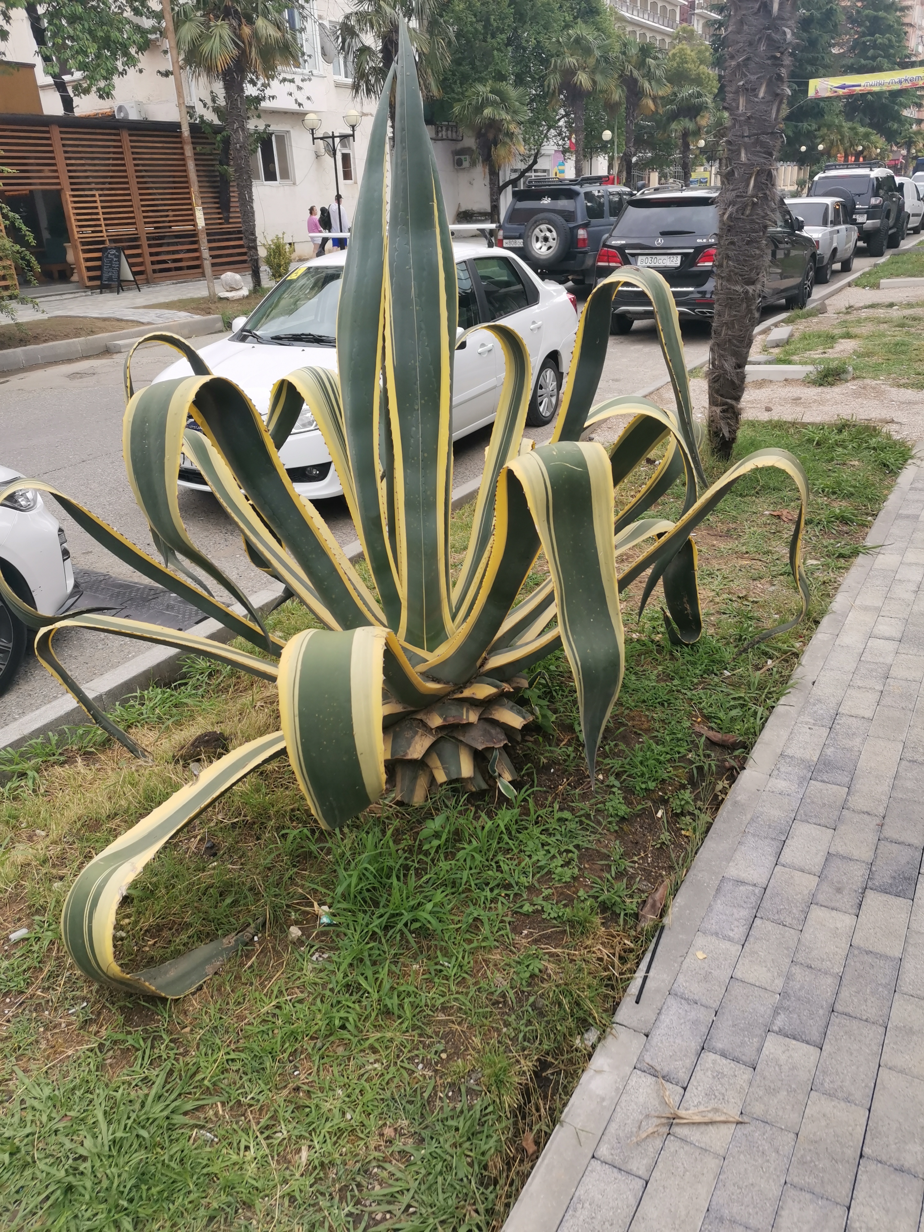 Фото Гостевой дом у Руслана