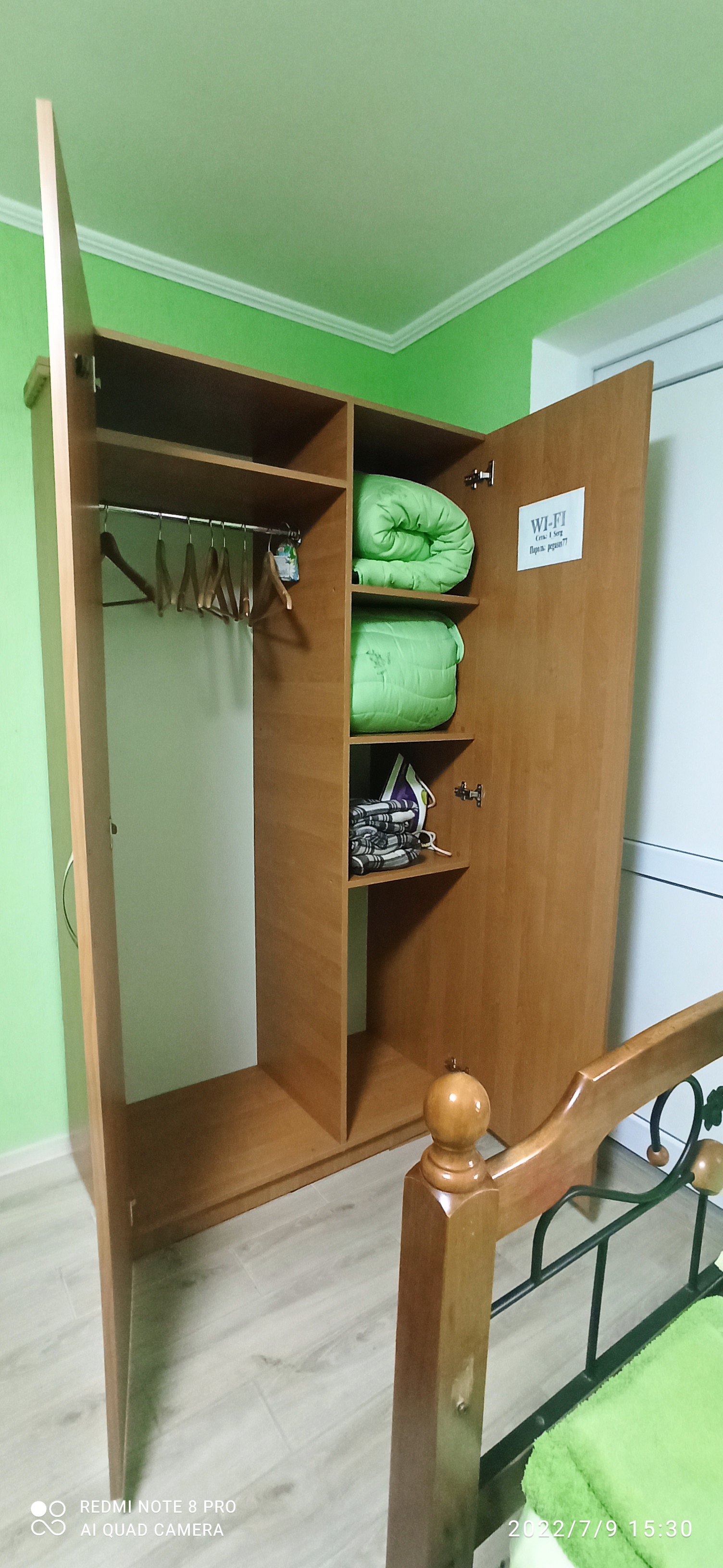 Фото Цветок папоротника