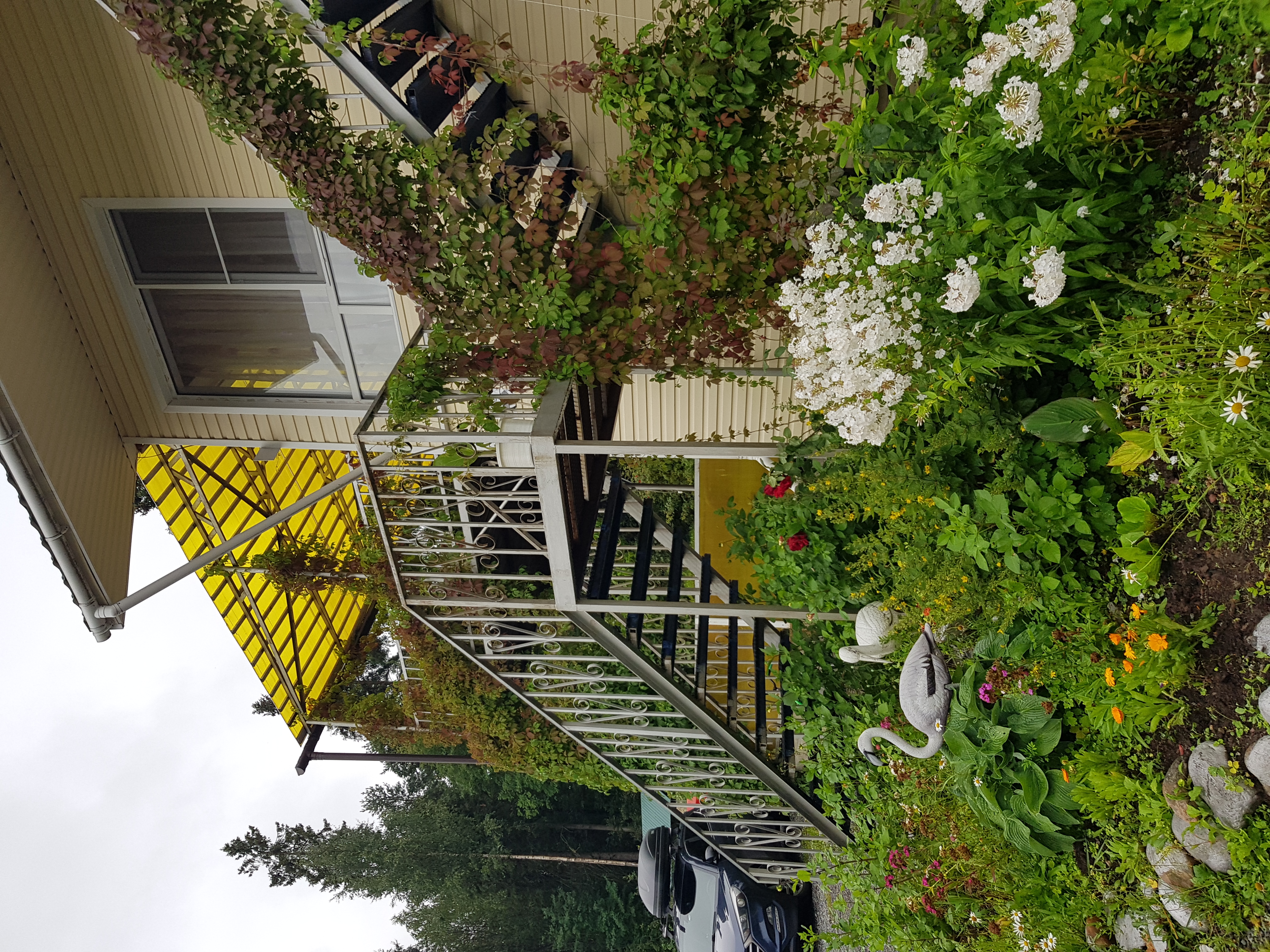 Фото Благодать