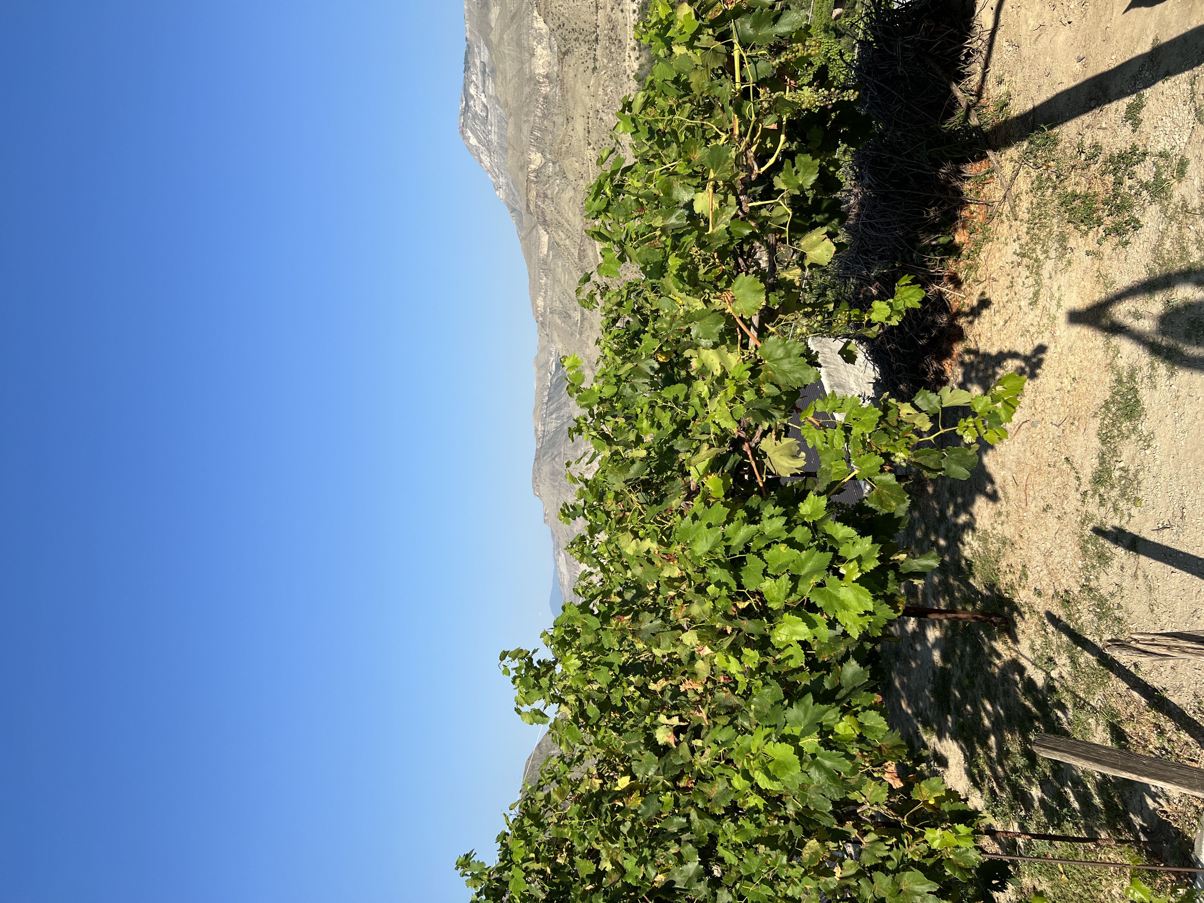 Фото МириДа