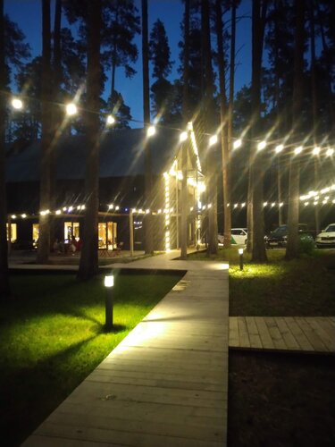 Resort oteller, tesisler Forest, Sverdlovskaya oblastı, foto