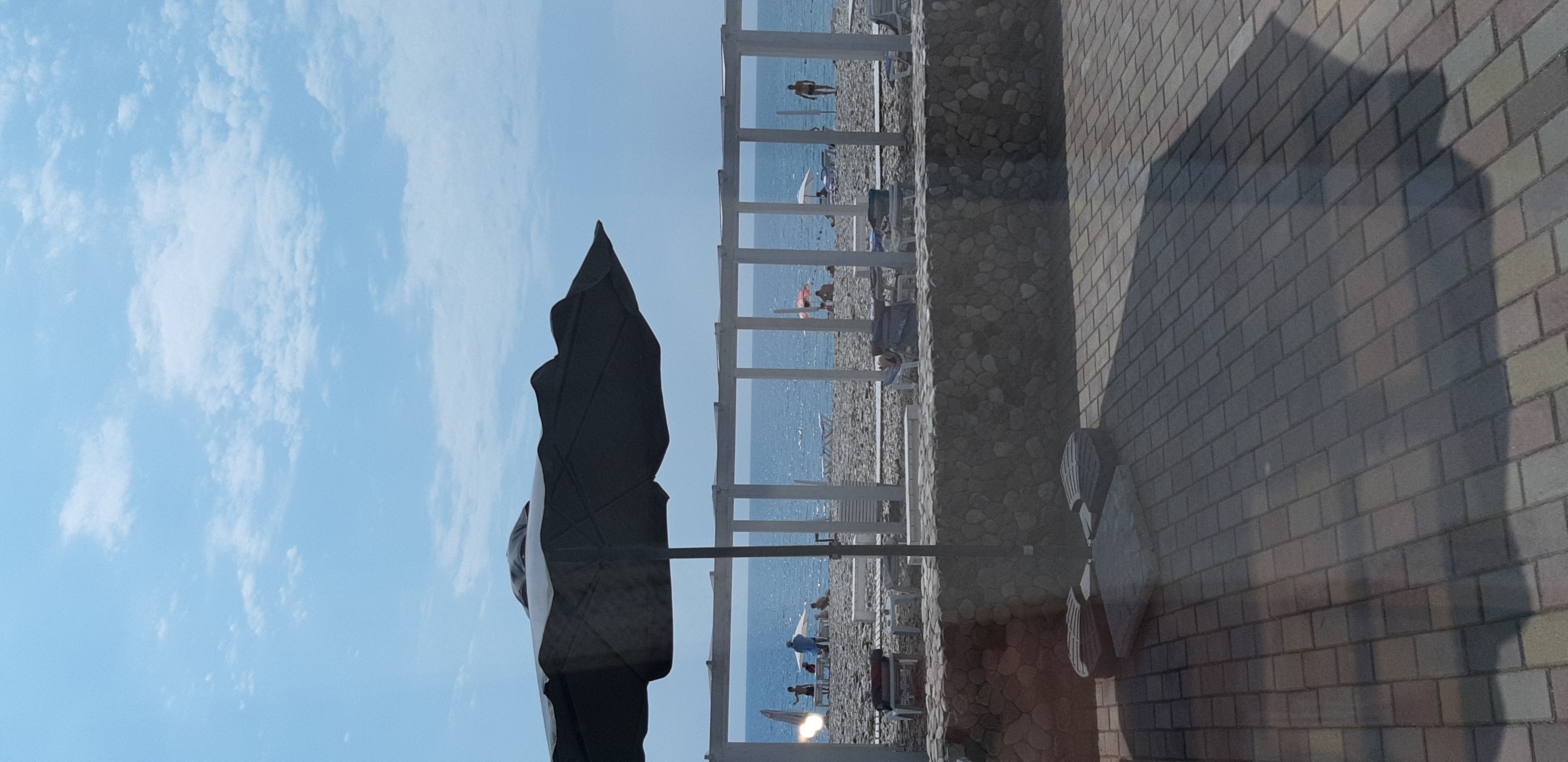 Фото Дружба