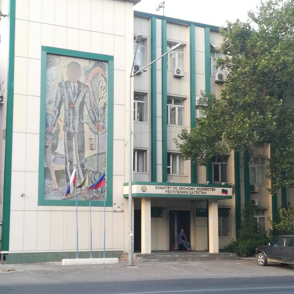 State supervisory bodies Комитет по лесному хозяйству республики Дагестан, Makhachkala, photo