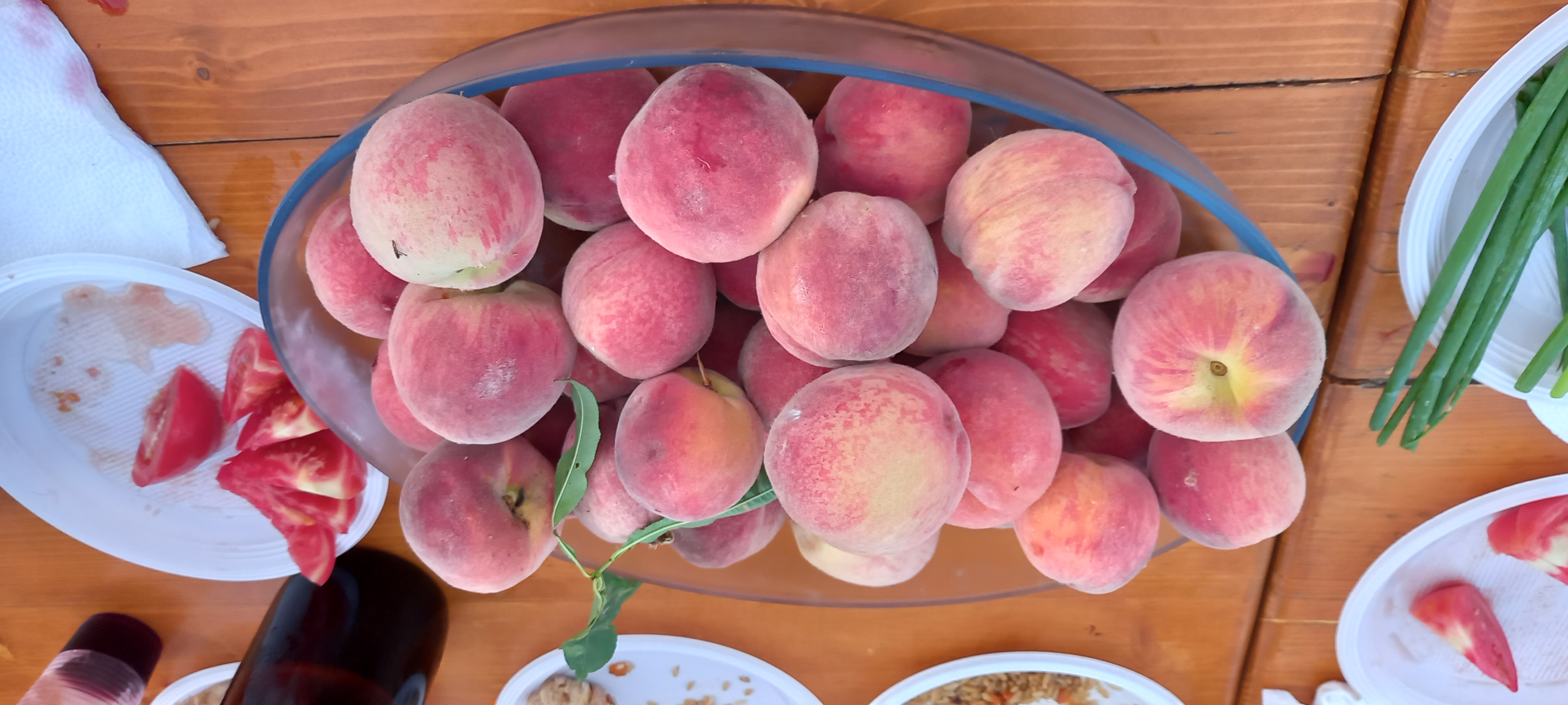 Фото РомПоль