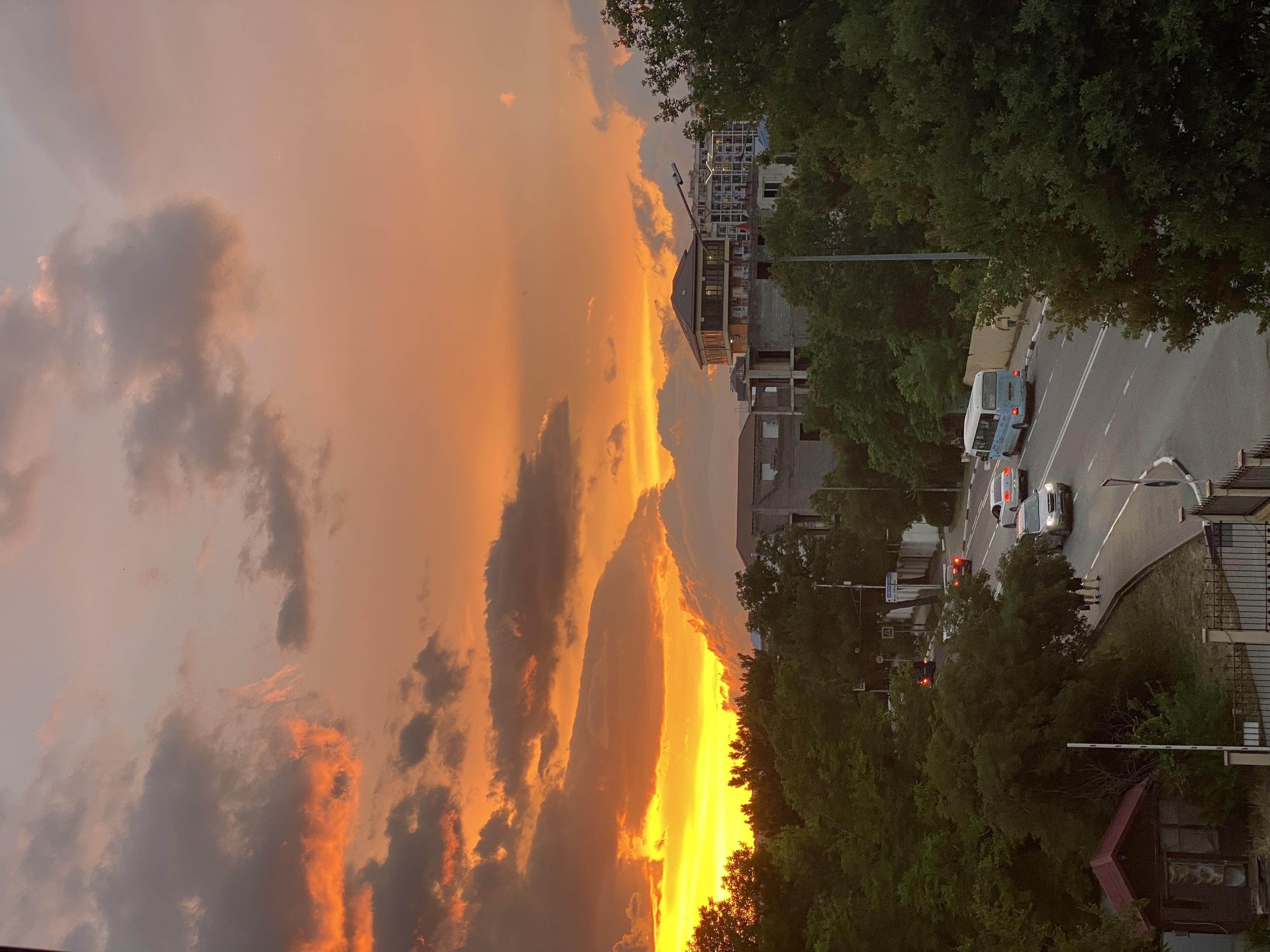 Фото Жар-птица