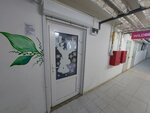 Арт Ландия (Khudozhestvennaya ulitsa, 5/16) ، مركز تنمية الأطفال
