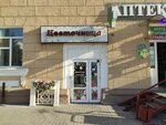 Tsvetochnitsa (Lermontova Street, 20), flower shop