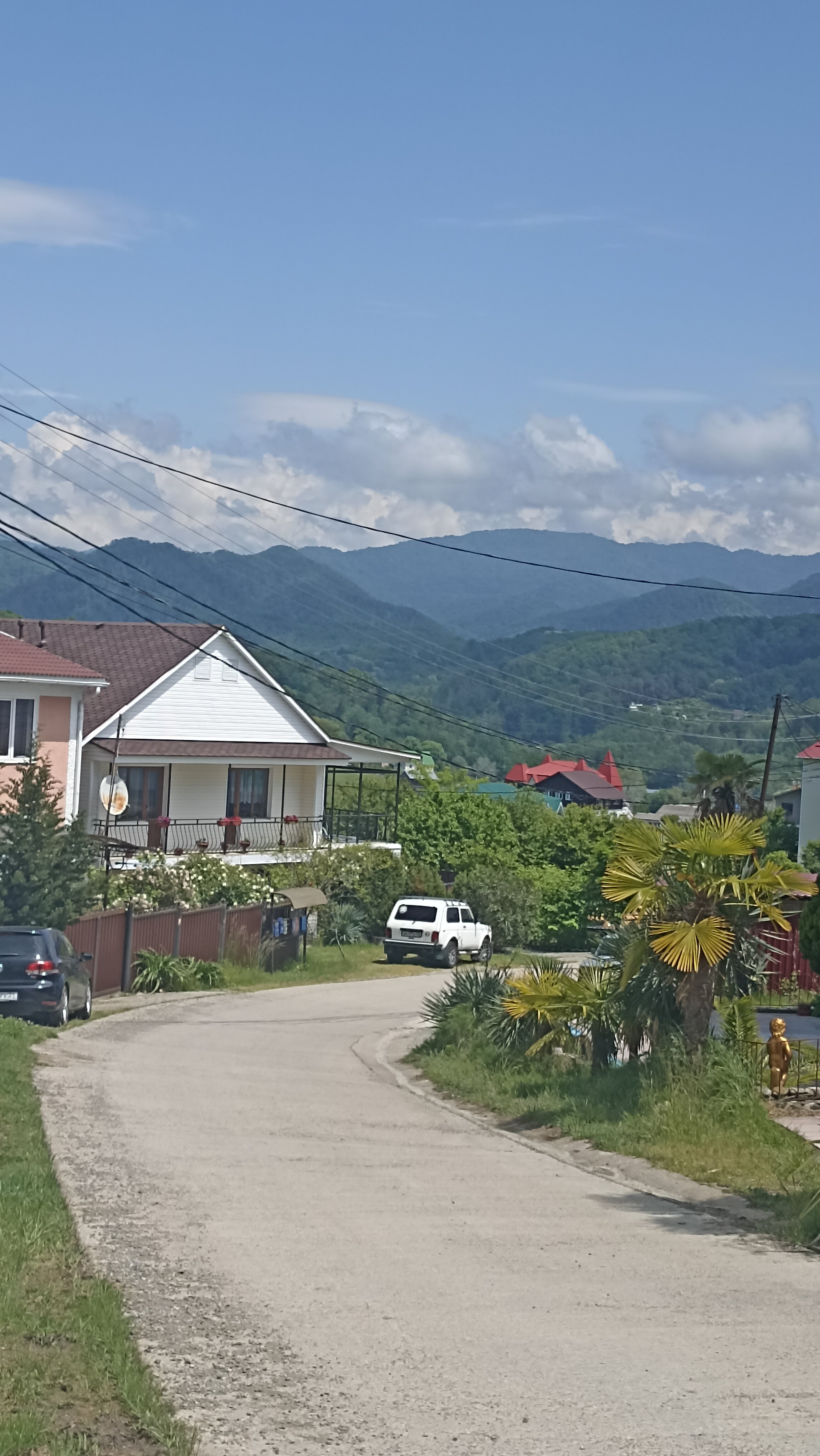 Фото Белые Росы