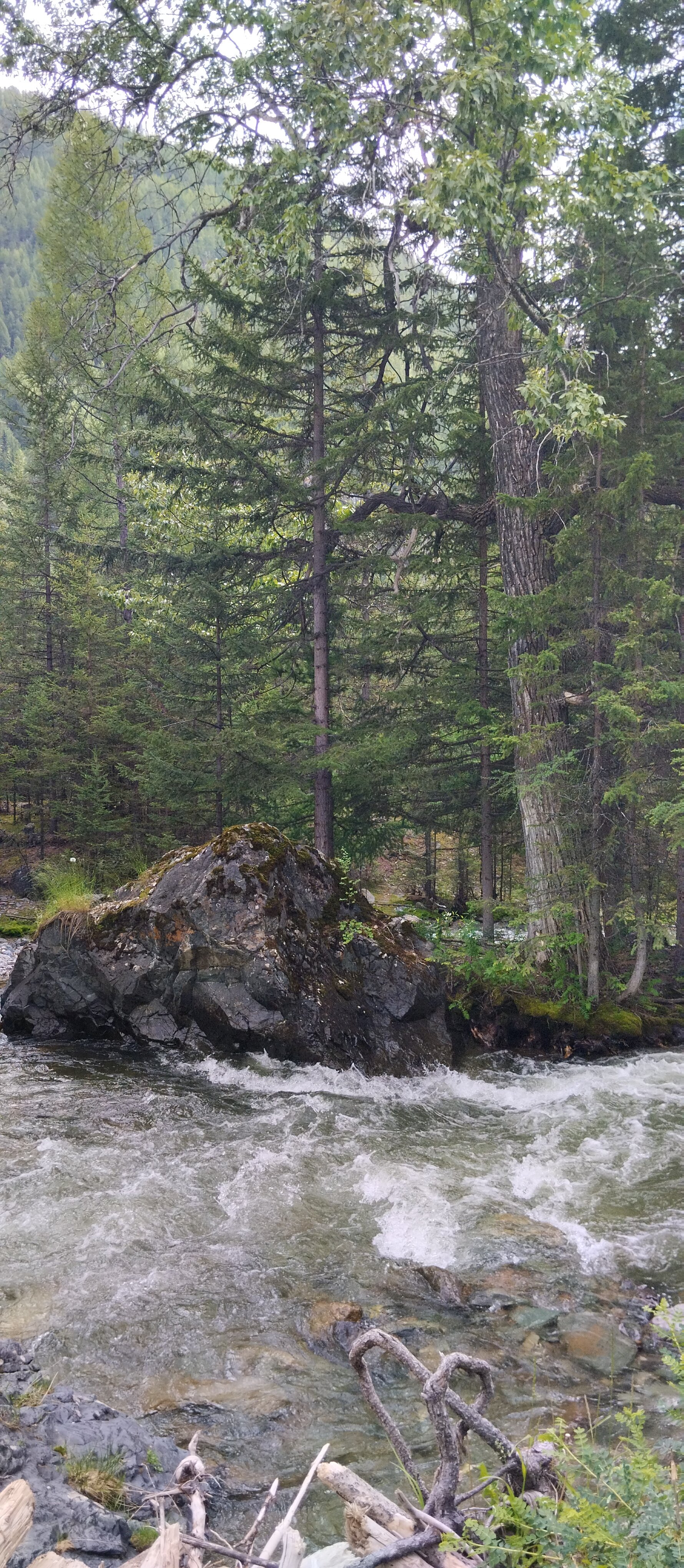 Фото Белый Шум