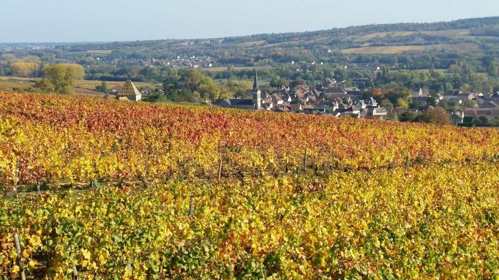 Фото Hotel Restaurant La Tête Noire