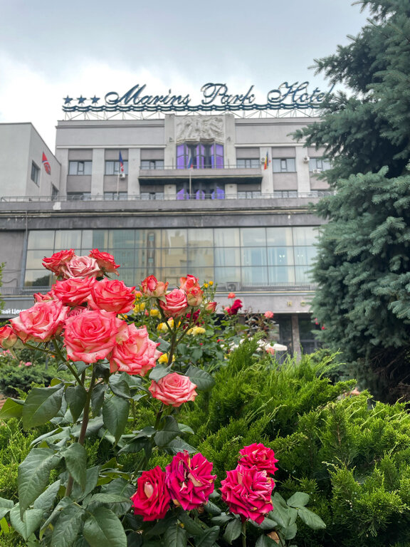 Фото Marins Ростов-на-Дону