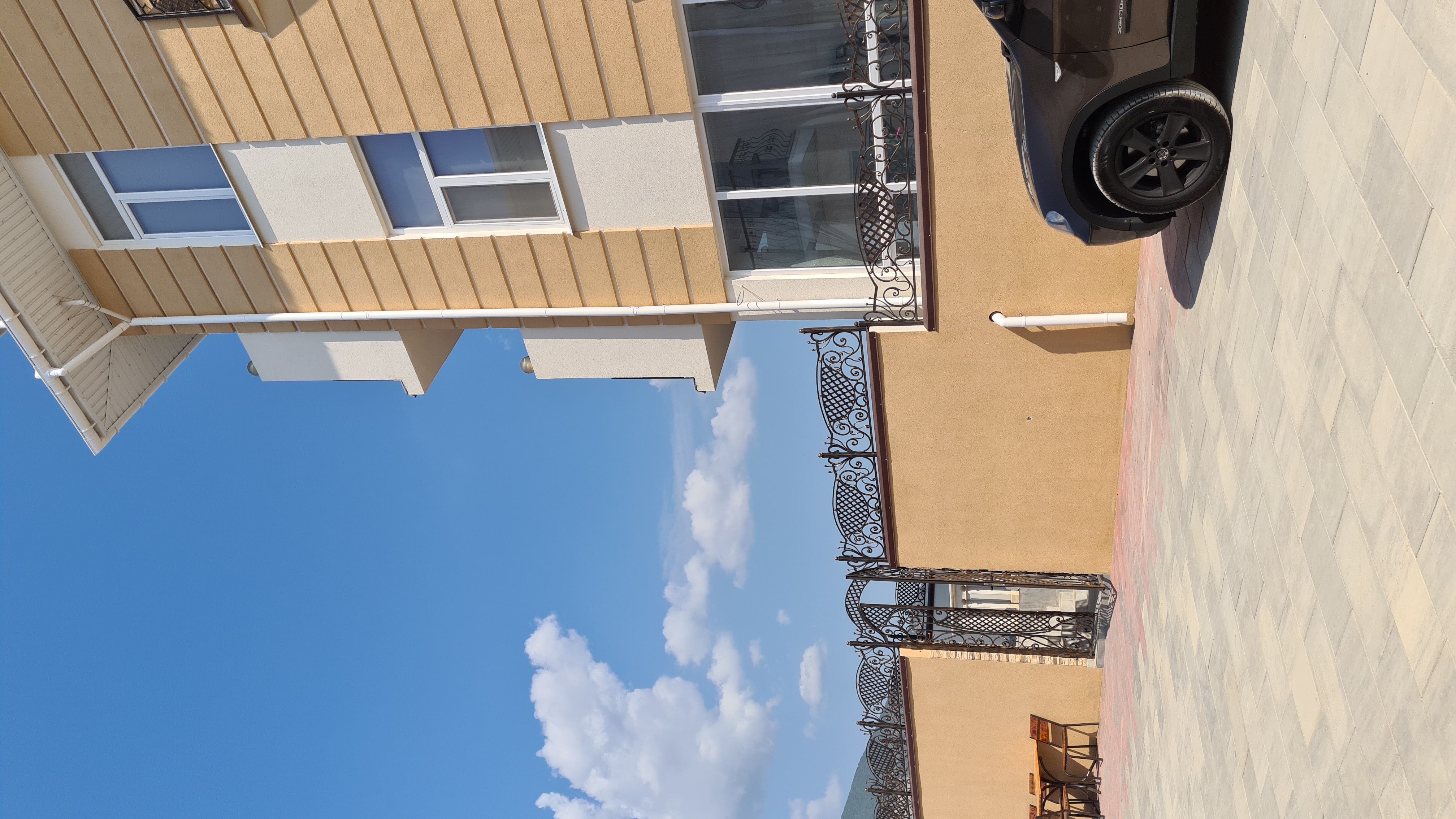 Фото Белый лев