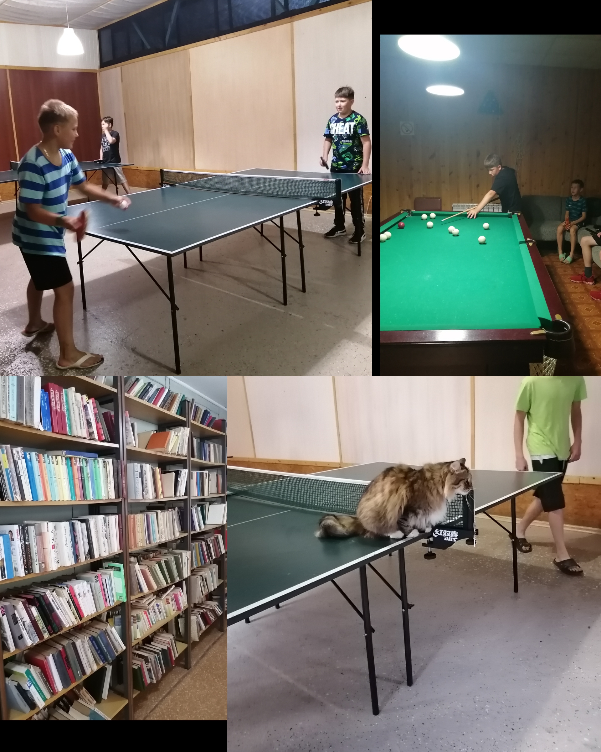 Фото База отдыха Яльчик